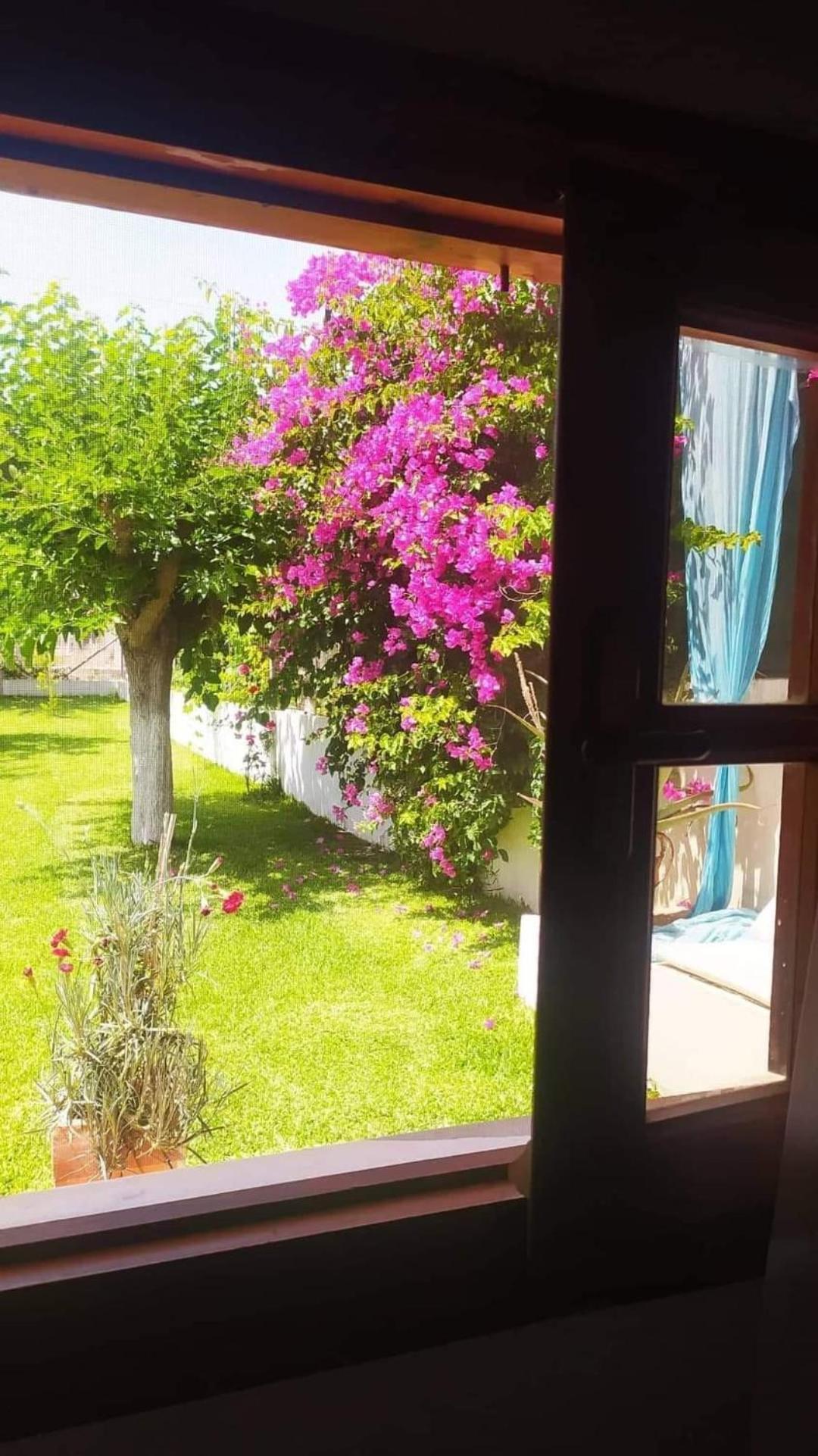 Amaryllis Sweet Home Pyrgos  Exterior photo