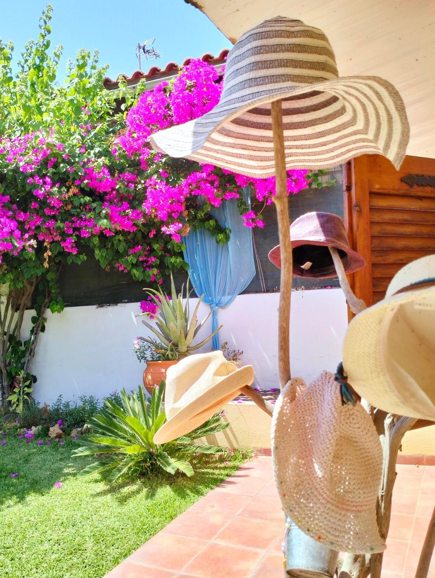 Amaryllis Sweet Home Pyrgos  Exterior photo